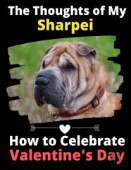 The Thoughts Of My Sharpei