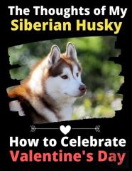 The Thoughts Of My Siberian Husky