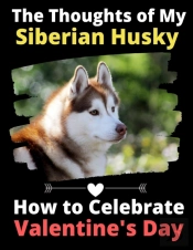 The Thoughts Of My Siberian Husky