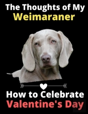 The Thoughts Of My Weimaraner: How To Ce
