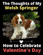 The Thoughts Of My Welsh Springer: How T