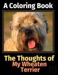 The Thoughts Of My Wheaten Terrier