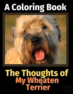 Bertrand.pt - The Thoughts Of My Wheaten Terrier