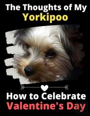 The Thoughts Of My Yorkipoo