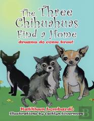 The Three Chihuahuas Find A Home