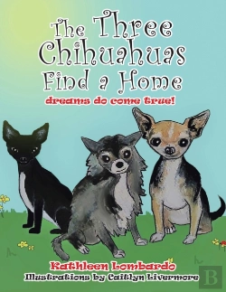 Bertrand.pt - The Three Chihuahuas Find A Home