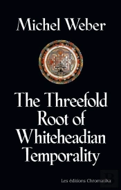The Threefold Root Of Temporality - Elements Of Whiteheadian Organic Metaphysics