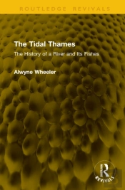 The Tidal Thames