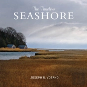 The Timeless Seashore