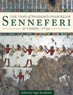Bertrand.pt - The Tomb Of Pharaohâ€™S Chancellor Senneferi At Thebes (Tt99)