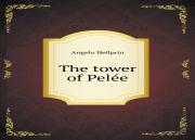 The Tower Of Pelee