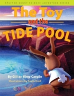 Bertrand.pt - The Toy And The Tide Pool