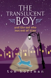 The Translucent Boy And The Cat Who Ran Out Of Time