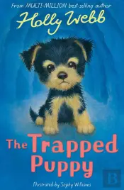 The Trapped Puppy