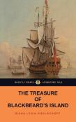 The Treasure Of Blackbeard'S Island