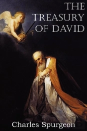 The Treasury Of David
