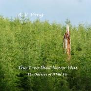 The Tree That Never Was, The Odyssey Of White Fir