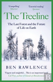 The Treeline