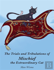 The Trials And Tribulations Of Mischief The Extraordinary Cat