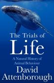 The Trials Of Life