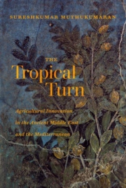 Bertrand.pt - The Tropical Turn