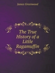 The True History Of A Little Ragamuffin