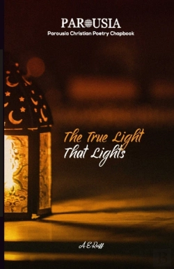 Bertrand.pt - The True Light That Lights