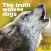 The Truth About Wolves And Dogs