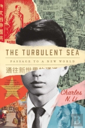 The Turbulent Sea