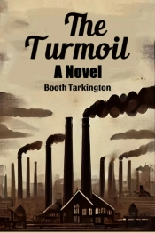The Turmoila Novel (Edition2024)