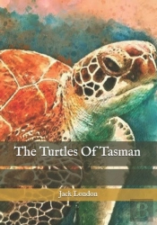 The Turtles Of Tasman
