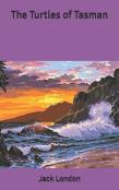 The Turtles Of Tasman