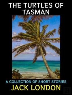Bertrand.pt - The Turtles Of Tasman