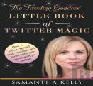 The Tweeting Goddess Little Book Of Twitter Magic