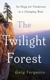 The Twilight Forest