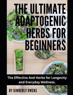 Bertrand.pt - The Ultimate Adaptogenic Herbs For Beginners