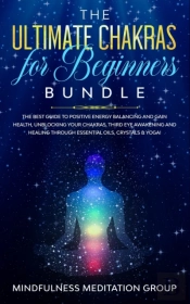 The Ultimate Chakras For Beginners Bundl