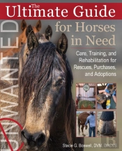 The Ultimate Guide For Horses In Need