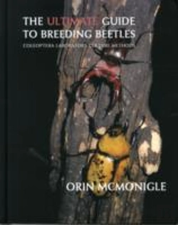 Bertrand.pt - The Ultimate Guide To Breeding Beetles