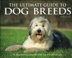 Bertrand.pt - The Ultimate Guide To Dog Breeds