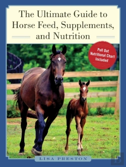 Bertrand.pt - The Ultimate Guide To Horse Feed, Supplements, And Nutrition