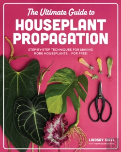 Bertrand.pt - The Ultimate Guide To Houseplant Propagation