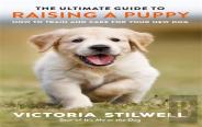 The Ultimate Guide To Raising A Puppy