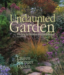 Bertrand.pt - The Undaunted Garden