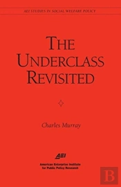 The Underclass Revisited