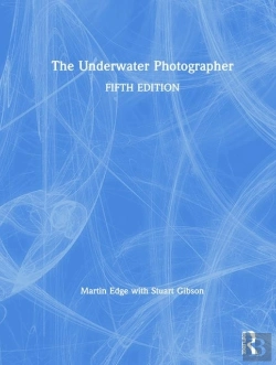 Bertrand.pt - The Underwater Photographer