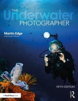 Bertrand.pt - The Underwater Photographer