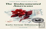 The Undocumented Americans