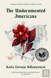 The Undocumented Americans