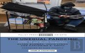 The Unequal Pandemic